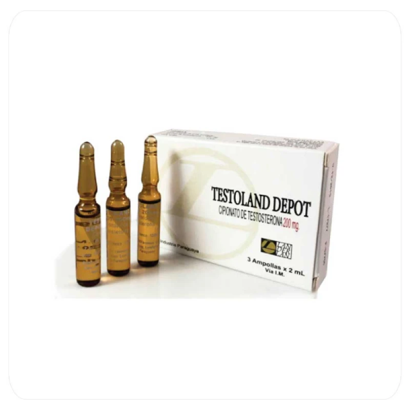 https://farmaciabrasil.s3.sa-east-1.amazonaws.com/products/9b515a4d-e7f5-4791-a9cd-0f65a38dbf67.webp?v=1783972440